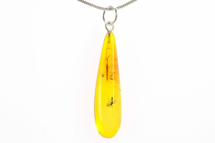 Polished Baltic Amber Pendant (Necklace) - Contains Fly! #288775